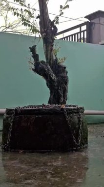 Sabah hafif yağmur ve su havuzu başlıyor.