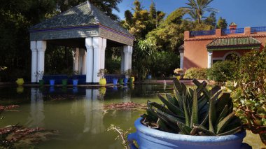jardin majorelle in Marakeş 