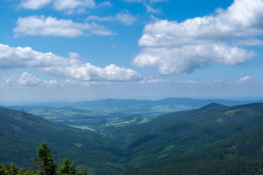 Çek Cumhuriyeti 'nin dağları Bir yaz günü Snieznik.
