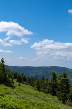 Çek Cumhuriyeti 'nin Snieznik dağlarındaki güzel yaz manzarası