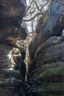 Taş labirentler arasında dar geçitler