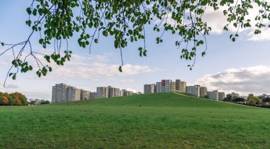 Parktaki yeşil çimlerin manzarası