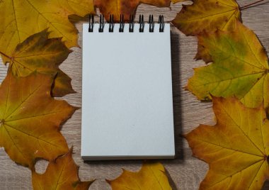 Açık bir defter masanın üzerinde, kuru bir çarşafın içinde yatıyor.