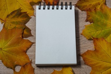 Açık bir defter masanın üzerinde, kuru bir çarşafın içinde yatıyor.