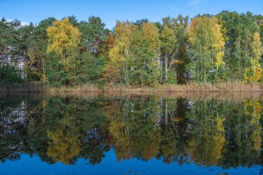 Gölün yansımasındaki sonbahar ormanı