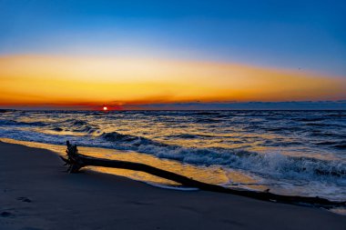 Sahilde güzel bir gün batımı Baltık Denizi 'nde bir ağaçla, Jastrzebia Gora, Polonya