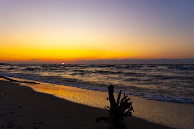 Sahilde güzel bir gün batımı Baltık Denizi 'nde bir ağaçla, Jastrzebia Gora, Polonya