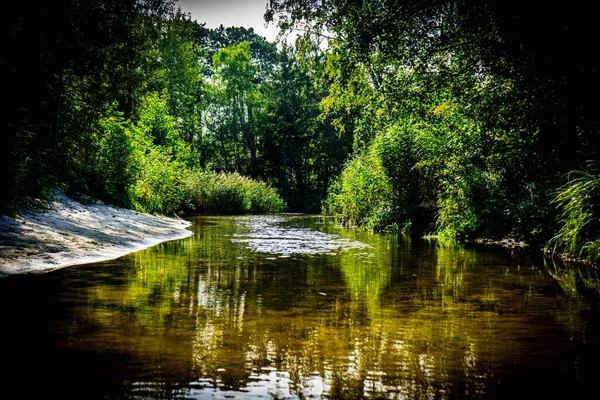 Ormandaki güzel nehir, Karwia, Karadeniz nehri, Polonya