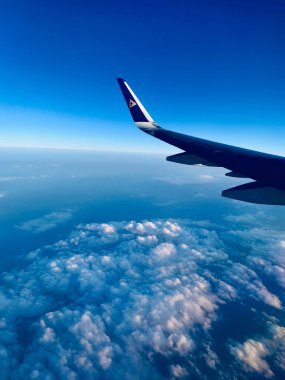 Sudaki ağaçların yansıması. Parkta ilkbahar.