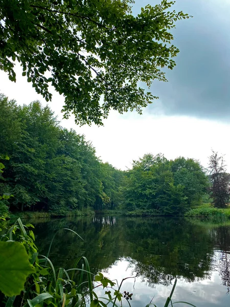 Nehir ve ağaçlarla dolu yaz manzarası Bulutlu gökyüzünün altında