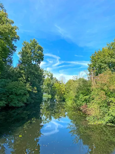 Parktaki güzel nehir kıyılarında ağaçlar ve mavi gökyüzü