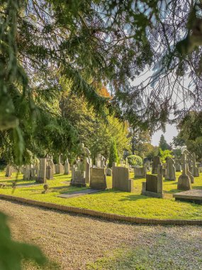 Hollanda 'daki eski mezarlığın manzarası.