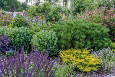 Yazın bir sürü çiçek ve bitki olan güzel bir süs bahçesi.
