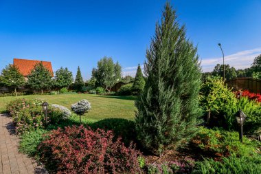 Yazın ağaçları ve çalıları olan güzel bir bahçenin manzarası.