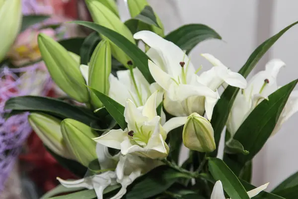 Bouquet of white lilies with green leaves in a vase