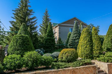 İçinde kozalaklı ağaçlar bulunan bir binanın önündeki bahçe.