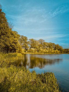 Göl, ağaçlar ve beyaz bulutlu mavi gökyüzü ile sonbahar manzarası