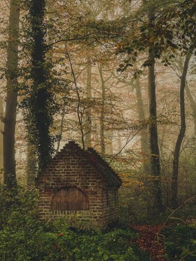 Ormanda küçük bir evi olan sonbahar manzarası. Ayarlanmış.