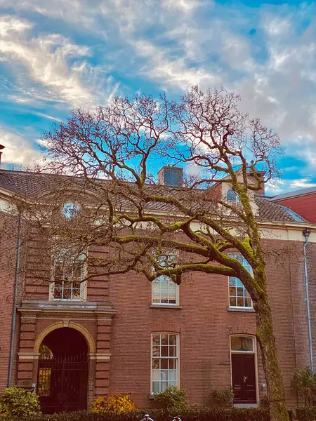 Old brick building with a tree in the foreground and a cloudy sky