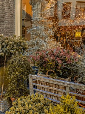 Hollanda 'da sokakta Noel süsü