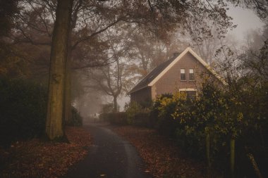 Kırsalda sonbahar sisli sabahı. Yol ve evle sisli sonbahar manzarası.