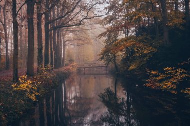 Nehir ve ağaçlarla dolu, sisli bir ormanda sonbahar manzarası. Filtrelenmiş resim işlenmiş vintage efekti.