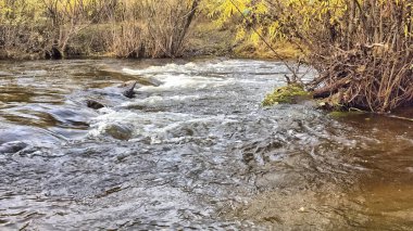 Arka planda ağaçlar ve nehir olan sonbahar manzarası. Ayarlanmış.