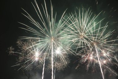 Gece gökyüzünde çeşitli renklerde renkli havai fişekler, Yeni Yıl kutlamaları