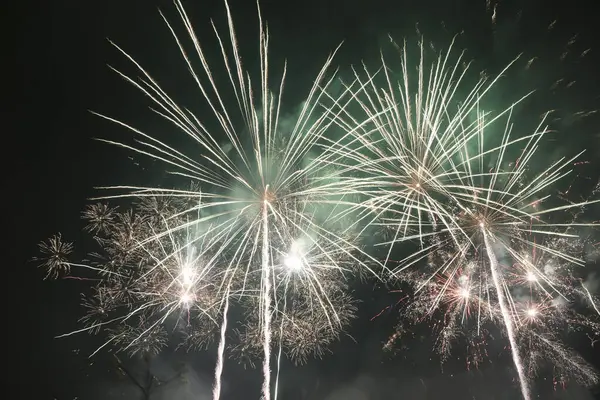 Gece gökyüzünde çeşitli renklerde renkli havai fişekler, Yeni Yıl kutlamaları