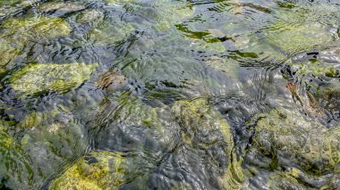 Nehrin berrak sularının yakın görüntüsü.