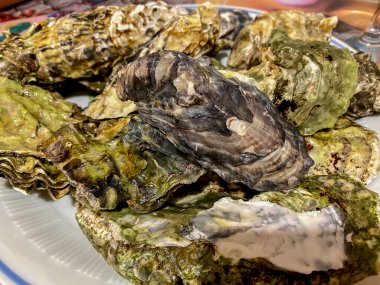 Restoranda tabakta taze istiridye, yakın plan.