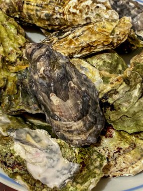 Tabakta taze istiridye, fotoğrafa yakın çekim.