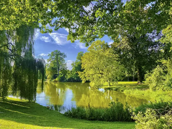 Güzel bir yaz manzarası. Parkta ağaçlar ve göl var..
