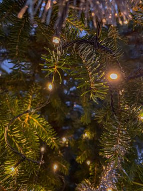 Işıklı ve çelenkli Noel ağacı dalları. Noel ve Yeni Yıl geçmişi