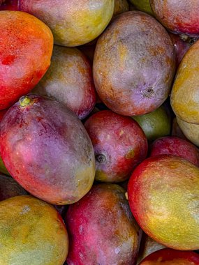 Mango meyvesi arka planı. Taze mango meyvelerine yakın durun..