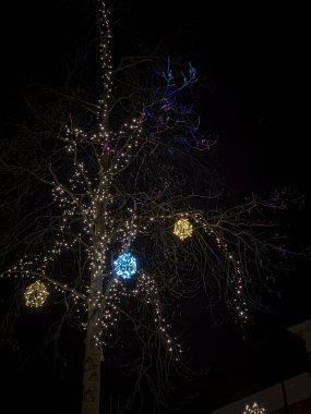 Noel ağacı ışıkları gece, Noel ağacı ışıkları gece.