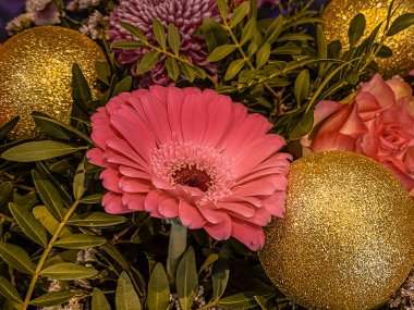 Pembe Gerbera çiçeklerini ve altın noel balolarını yakından çek.