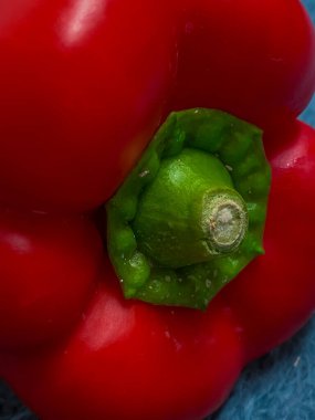 Mavi arka planda kırmızı dolma biber. Yakın çekim, seçici odaklanma.