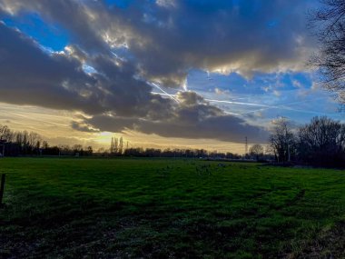 Hollanda 'da leyleklerle dolu bir çayırda gün batımı.