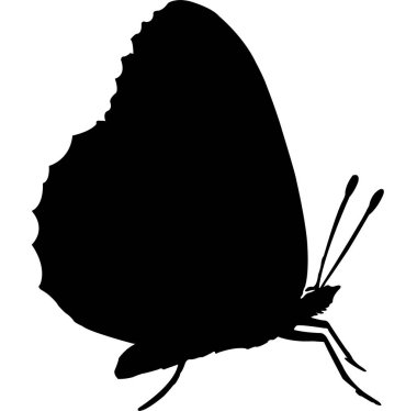 Kelebek Siyah Siluet Vektörü
