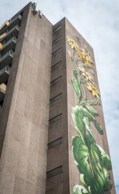 Zwolle, Hollanda - 21 Temmuz 2023: Lelieflat 'ın kör duvarı 2022 yılında Lonneke Schildert tarafından bu güzel duvar ile süslendi..