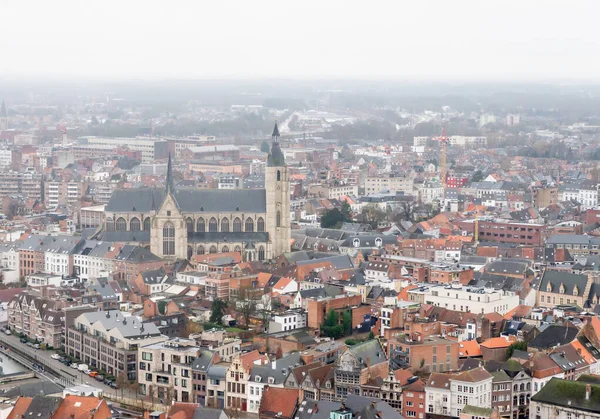 Sint-Romboutskathedraal 'ın tepesinden görünen güzel Midieval şehir Mechelen' e bakın. Resmin merkezindeki kilise, mechelen Onze-Lieve-Vrouw-over-de-Dijlekerk 'tir..