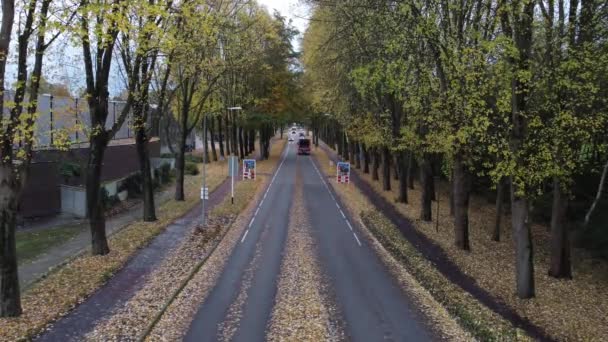 ハテム オランダ 11月2日 2023 地元の道路上の交通の流れの航空眺め 秋の天気が設定されているように 木々によって車が葉を失う — ストック動画