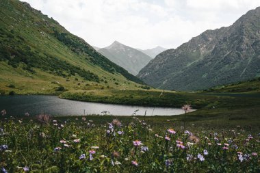 Yeşil dağ tepeleri arasında küçük bir dağ gölü. Göl kenarındaki çayır, alp çiçekleri, bulutlar, birkaç tepe, panoramik manzara. Krasnaya Polyana, Kafkas Dağları