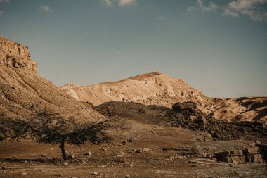 İsrail 'in kuzeyindeki Negev Çölü' nün manzarası, sarı kayalar ve mavi gökyüzü, dağlarda bir ağacı olan güzel manzara, deniz mavisi ve turuncu, çöl zemininde yalnız bir ağaç, taşlar..