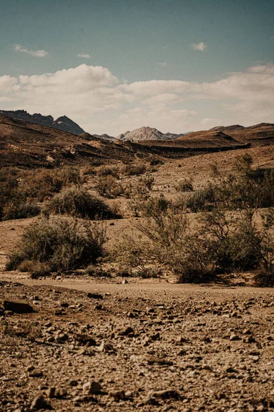 Krajobraz Pustynny Dolinie Państwa Izrael Pustynia Negev Skały Horyzoncie Krzewy — Zdjęcie stockowe