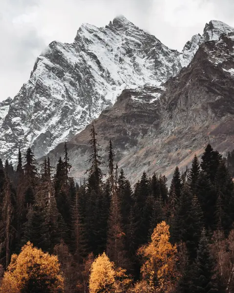 Beautiful autumn landscape in the black mountains, stones lie on the yellow dry grass. Trees with golden leaves and green pines at the foot of the snowy mountains. Gray sky, autumn, winter. Dombay