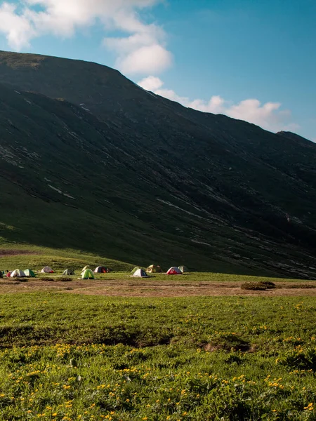 Dağlardaki yeşil bir çayırda turist çadırı. Bir dağın tepesinde kamp yapmak, yaz, yeşil dağlar ve çimenler, büyük tepelerin, çiçeklerin, mavi gökyüzünün önünde bir sürü küçük çadır. Açık hava hayatı