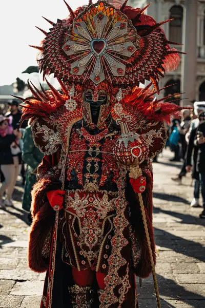 Venedik 'teki karnaval. Karnavalda maske takmış güzel bir karnaval maskesi.