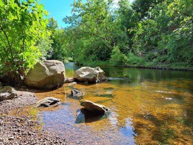 Nehir kıyısı güneş ışığı altında Ağaçlar ve kayalarla çevrili